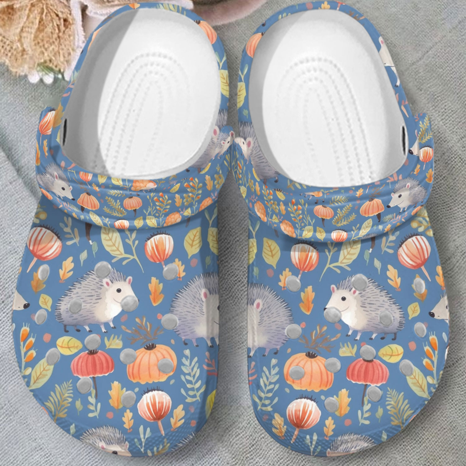 limited edition hedgehog %26 plants vintage adult vintage blue clogs dvxmr